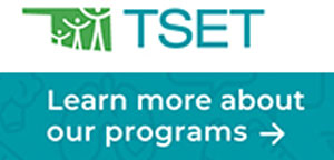 TSET logo